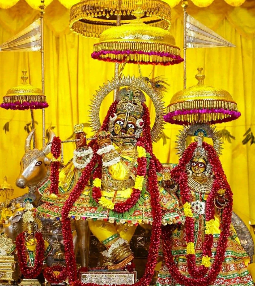 Ekadashi satvik thali